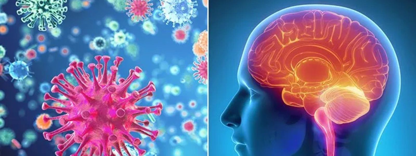 Over 100 Meningitis Cases Reported